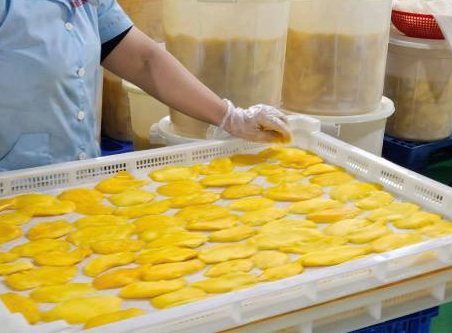 Trays loaded for drying